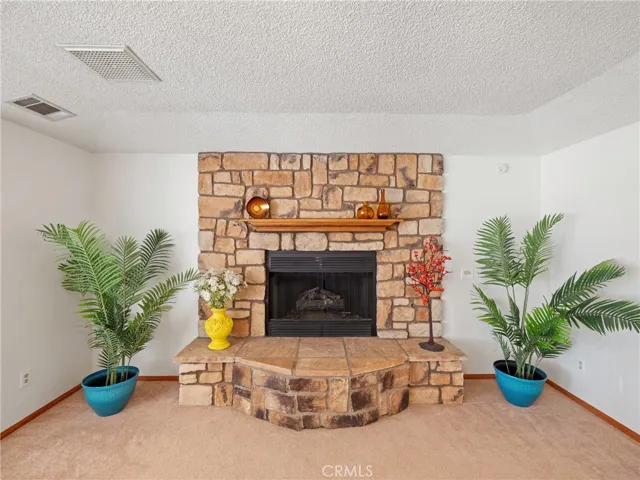 Wood burning fireplace