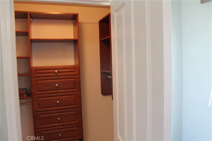 Primary Bedroom Walk In Closet #1