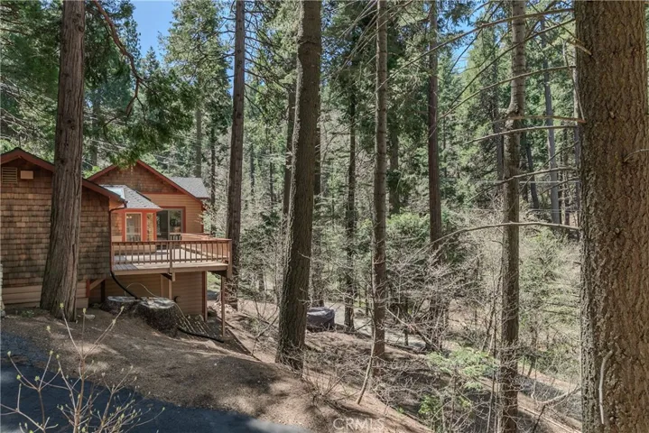 475 Blue Jay Canyon Road, Blue Jay, California 92317