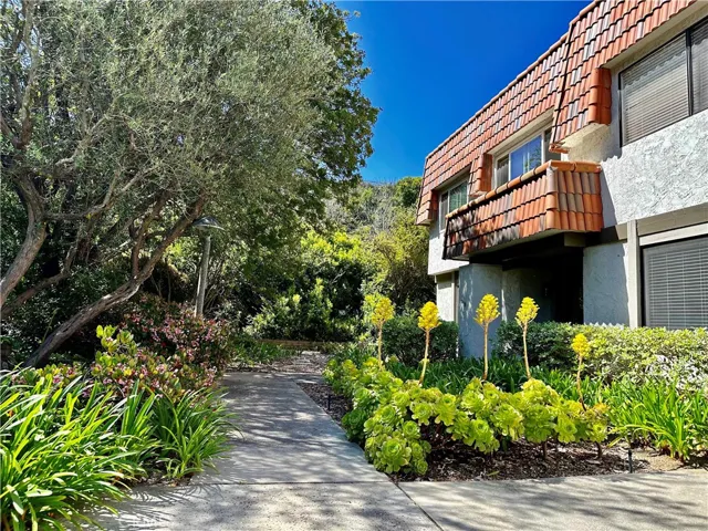 Tranquil Front Yard