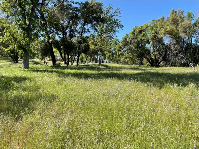 4960 Pegleg Road, Mariposa, California 95338