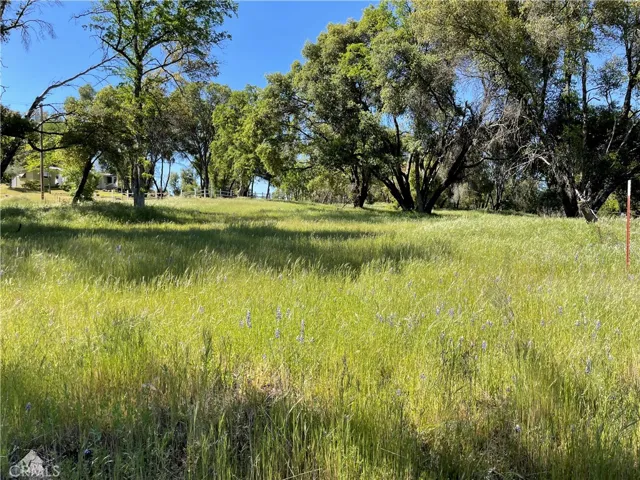 4960 Pegleg Road, Mariposa, California 95338