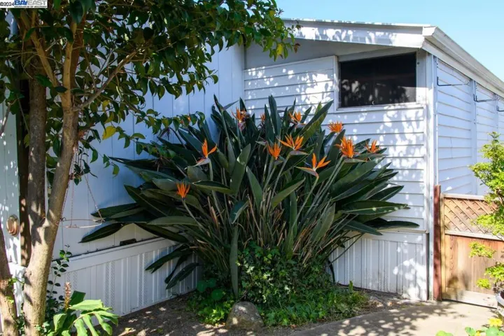 711 Old Canyon Rd., Fremont, California 94536