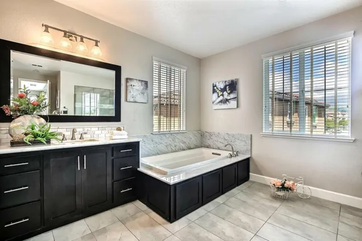 170 Caladenia Lane, Milpitas, California 95035