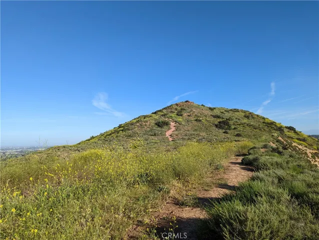 Walk to Santiago Oaks Regional Park