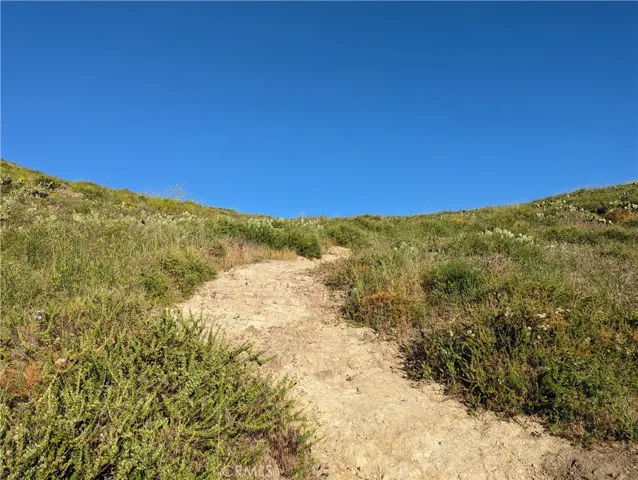 Walk to Santiago Oaks Regional Park