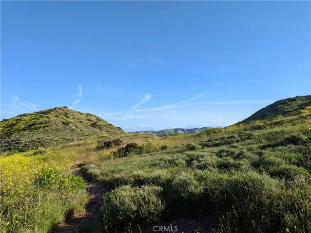 Walk to Santiago Oaks Regional Park