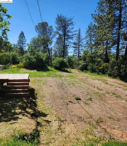 1022 Fox Grove Ln, None, California 95635