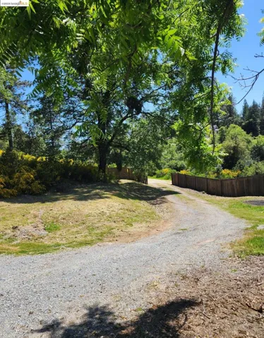 1022 Fox Grove Ln, None, California 95635