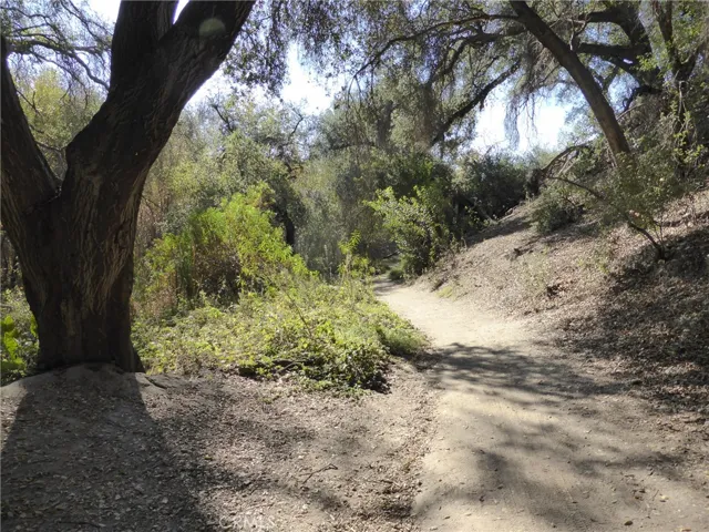 Enjoy mountain biking and hiking at Whiting Ranch.