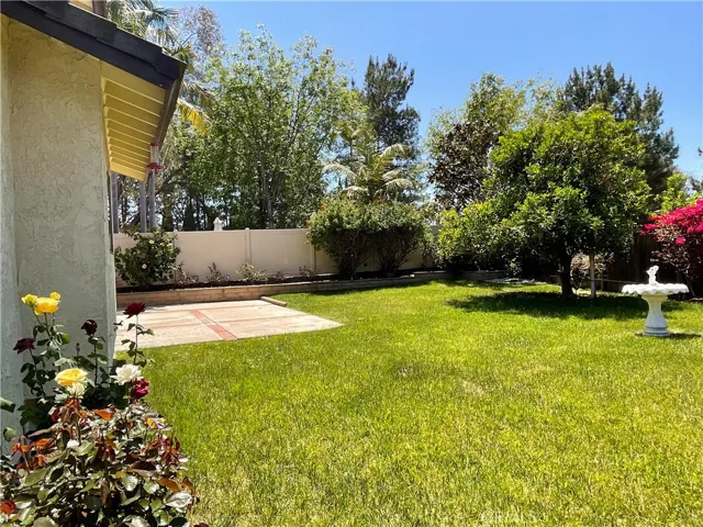 Rose bushes and orange tree.