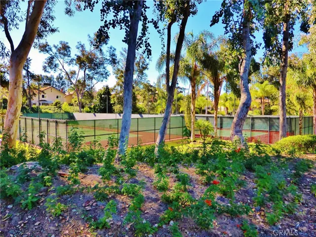 Association tennis courts