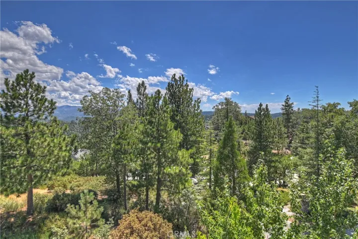 1011 Black Oaks Drive, Lake Arrowhead, California 92352