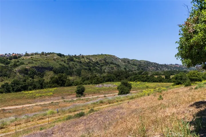 Enjoy the Hiking Trails behind the house.