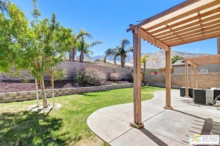 Backyard Views