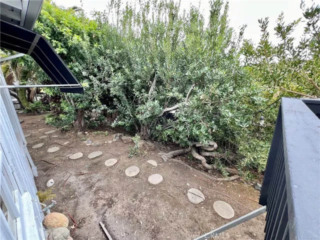 Backyard area