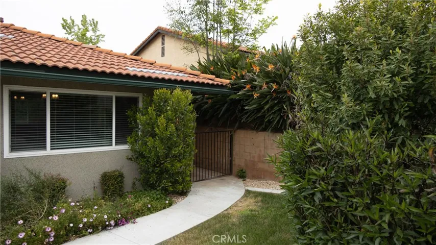 Side yard
