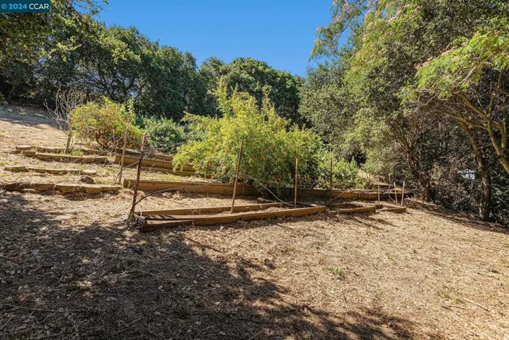 26233 Clover Rd, Hayward, California 94542