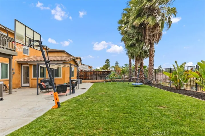 Lawn area & mature palms