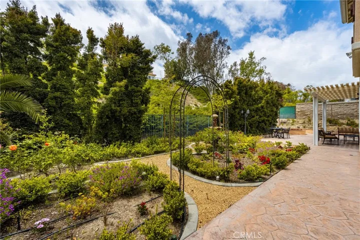 Another View of Backyard