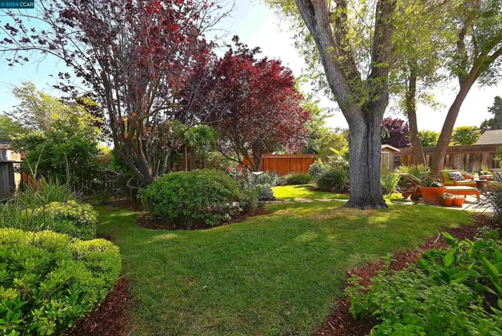107 Hazel Drive, Pleasant Hill, California 94523