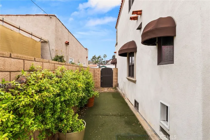 Side yard with shrubs.