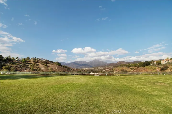 Grassy Area