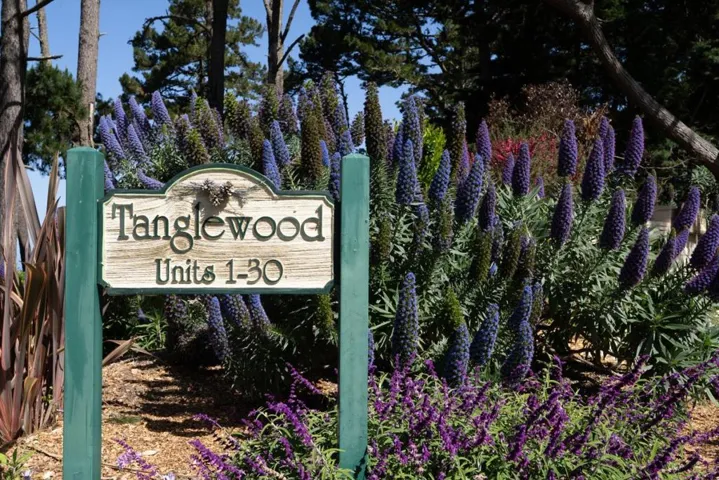 250 Forest Ridge Road 14, Monterey, California 93940