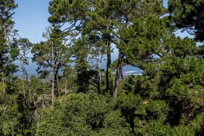 250 Forest Ridge Road 14, Monterey, California 93940