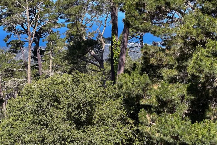 250 Forest Ridge Road 14, Monterey, California 93940