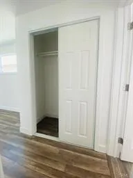 ADU Closet