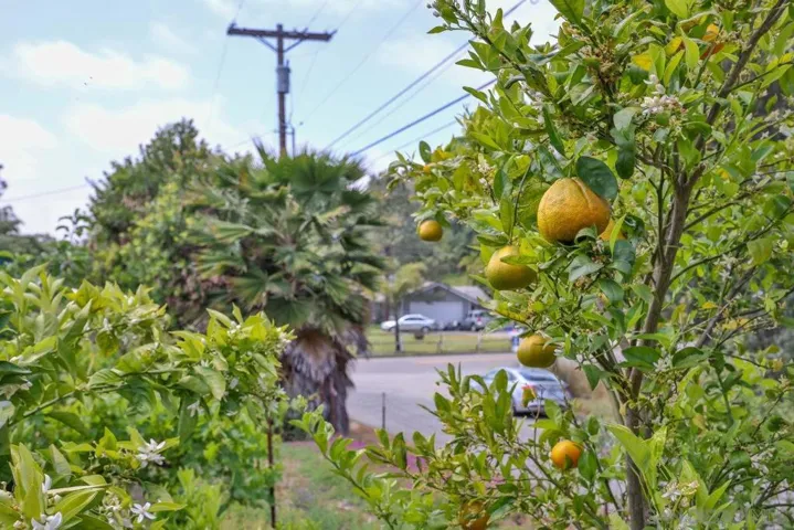 3142 Kaywood Drive, Escondido, California 92026