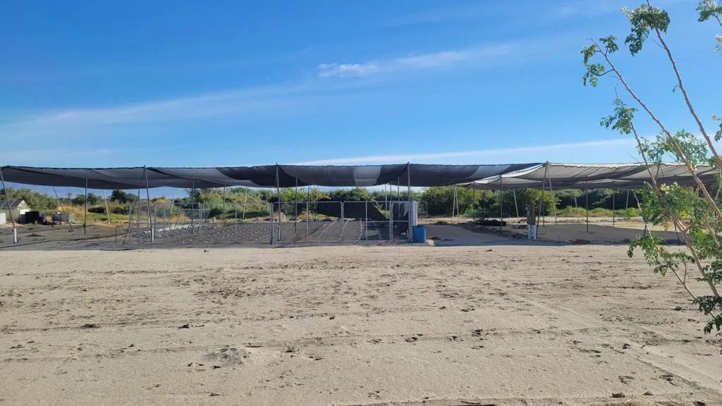 89635 81st Avenue, Thermal, California 92274 home-pic-5