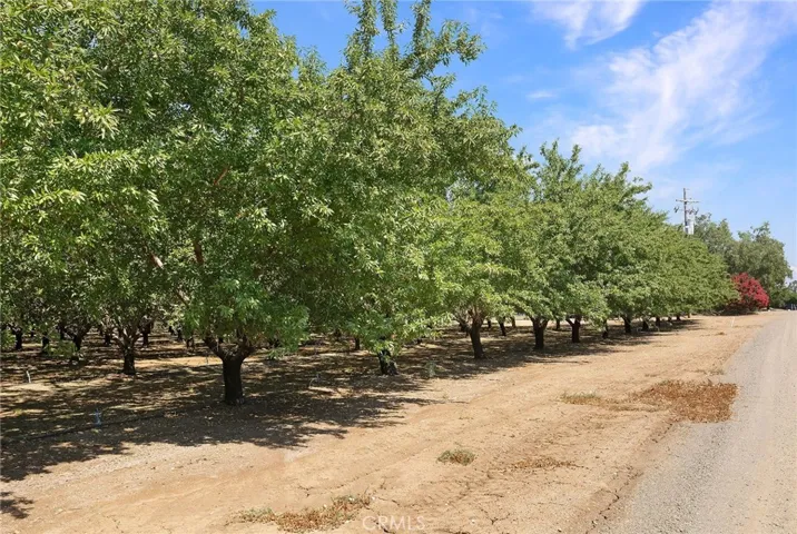 25170 Moller Avenue, Orland, California 95963