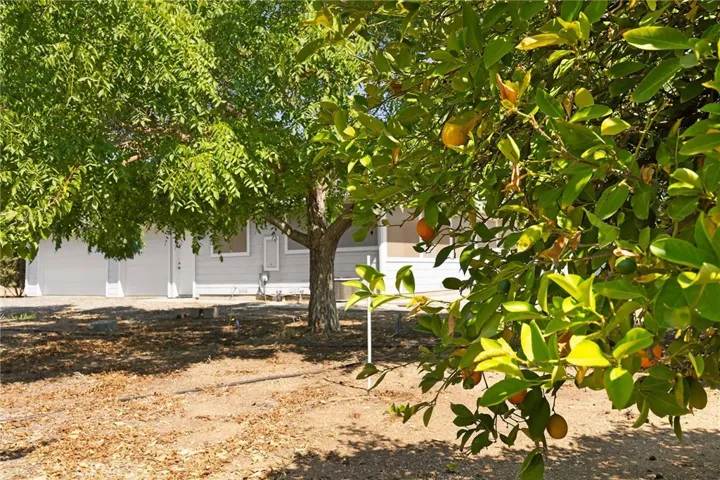 25170 Moller Avenue, Orland, California 95963