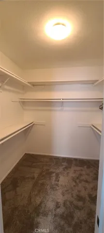 Primary bedroom walk-in closet.