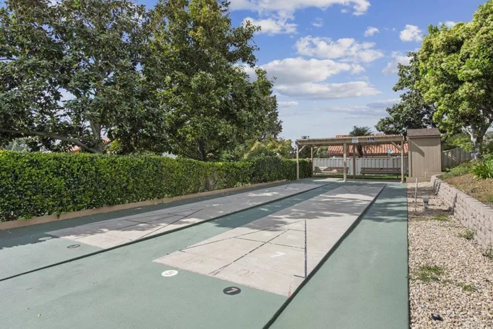 Shuffleboard