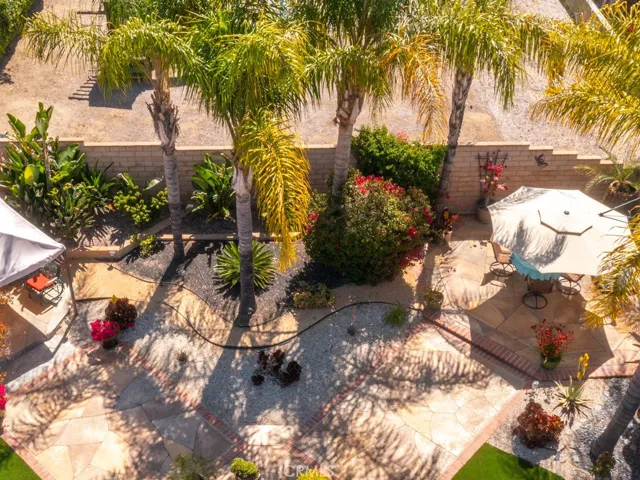 Drone picture of backyard