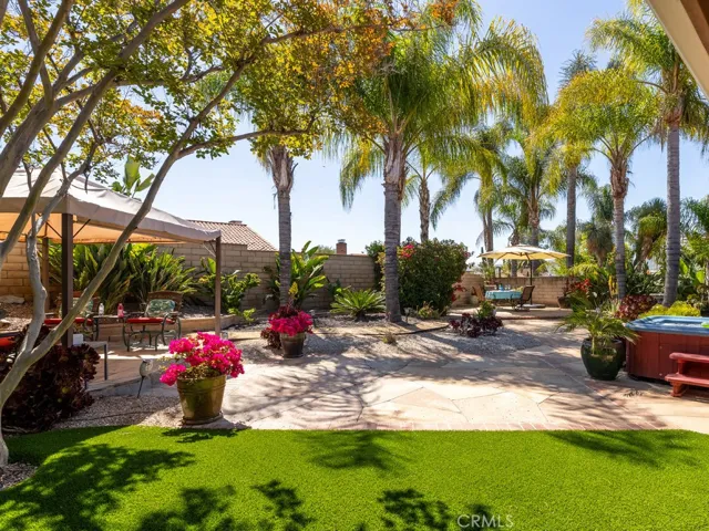 Backyard garden