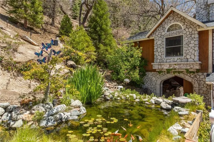 Koi Pond
