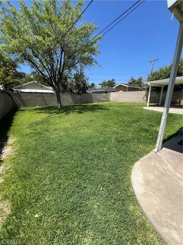 Backyard.