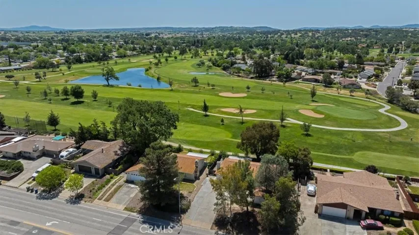 Backyard Drone