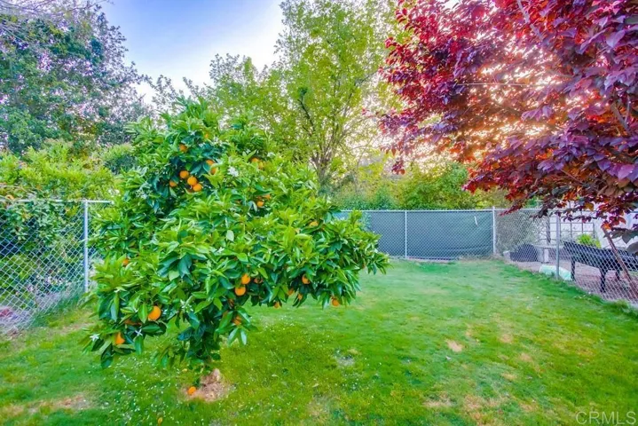 2840 Olive View Road, Alpine, California 91901