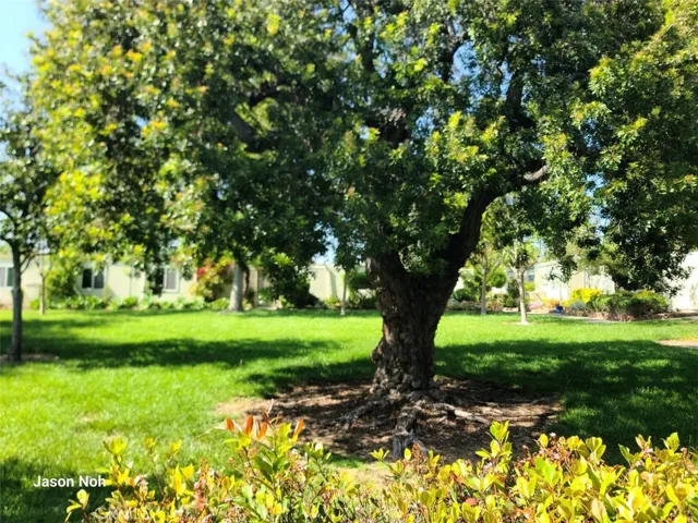 224 Avenida Majorca C, Laguna Woods, California 92637