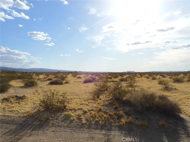 This photo shows the 60 acre parcel, looking from east to west.
