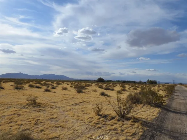 From the east line of the 60 acre parcel looking north