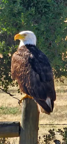 Photos supplied by land owner.