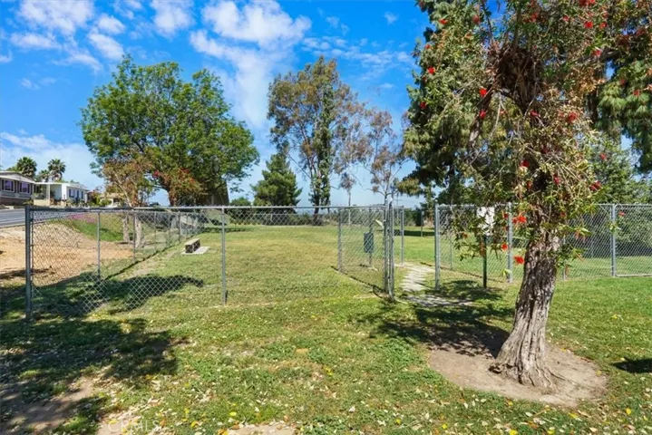 Dog Park