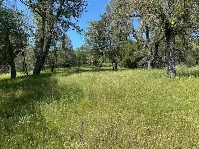 74620 Copperhead Road, Bradley, California 93426