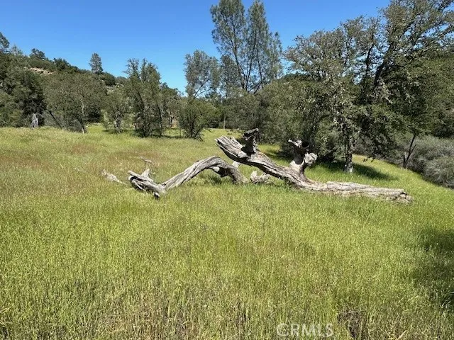 74620 Copperhead Road, Bradley, California 93426